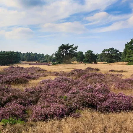 Holiday home Holiday Recreatiepark De Boshoek.3 Voorthuizen
